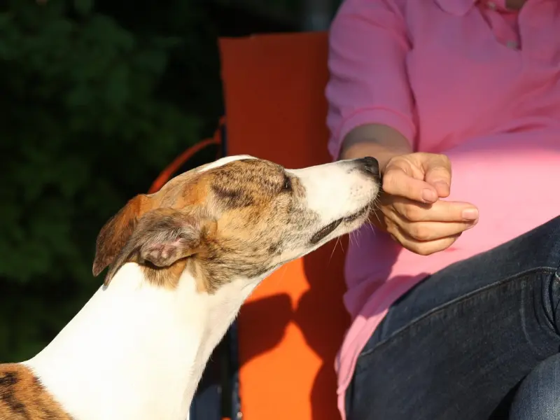 ✅小伙娶了大十二岁的妻子，妻子一出现，全场惊呆了...