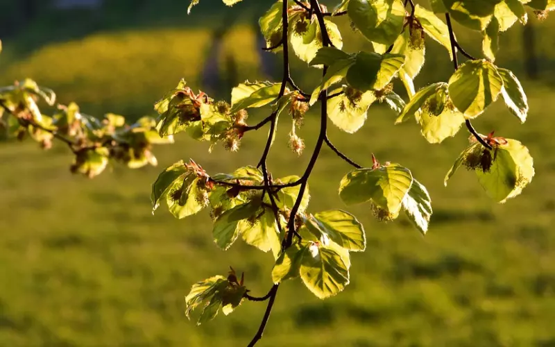 “迁就”可能是造成你们分手的原因