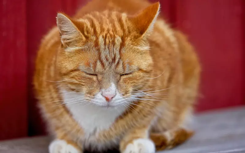 其实，我真的累了，心累了