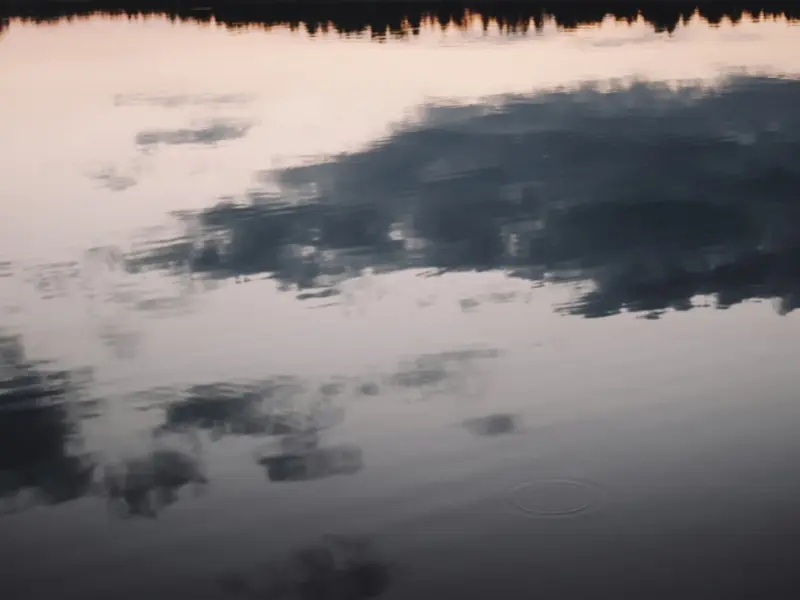 成年人的恋爱，应该是______