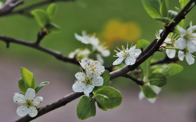 情感导师支招：分手后互不联系该如何挽回？