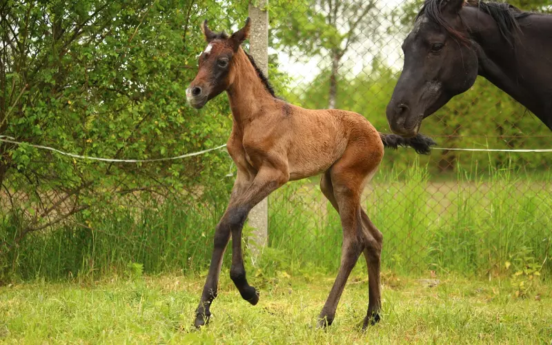 【外遇】献给想出轨和正在出轨的人！