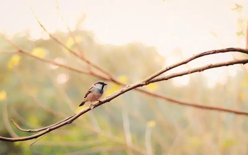 分手后女生学会展示高价值 在挽回中占据主动权