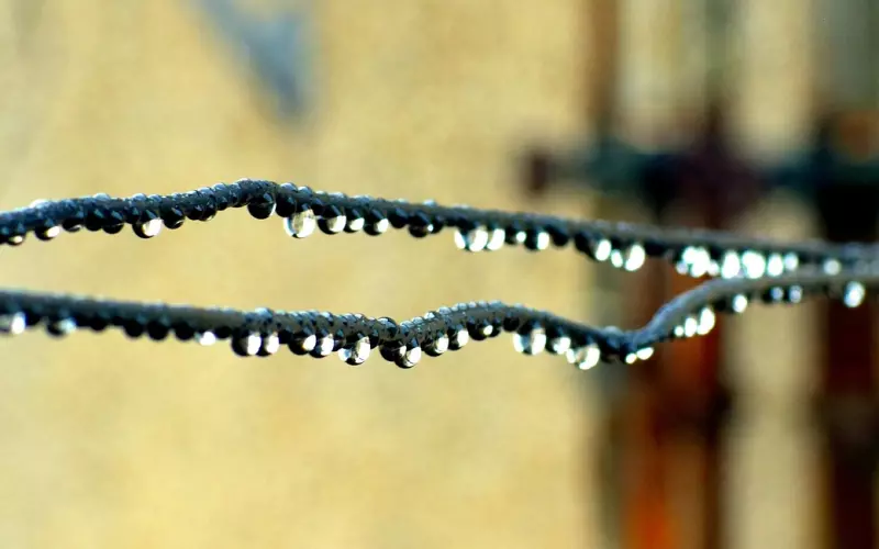 分手后，内心放不下男人，会有一系列反常的举动，别不在乎