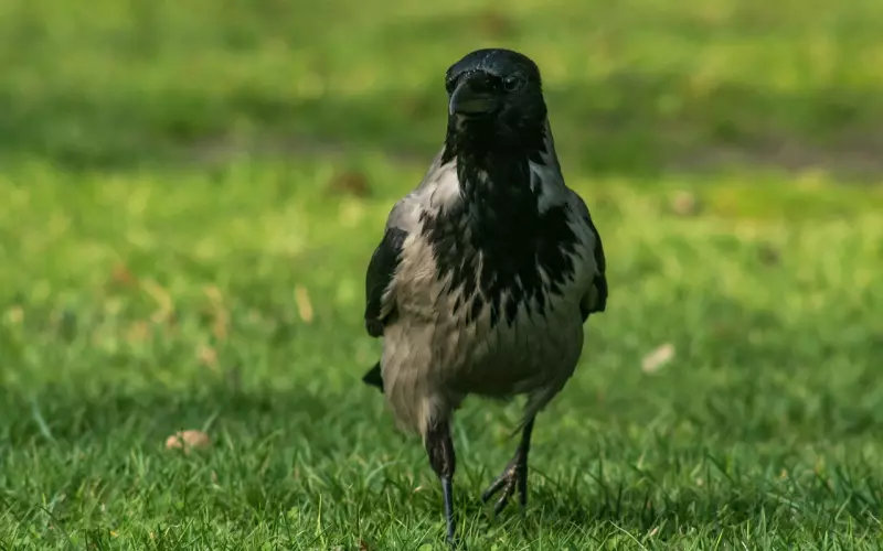 分手后，什么情况下才值得去挽回一个男人