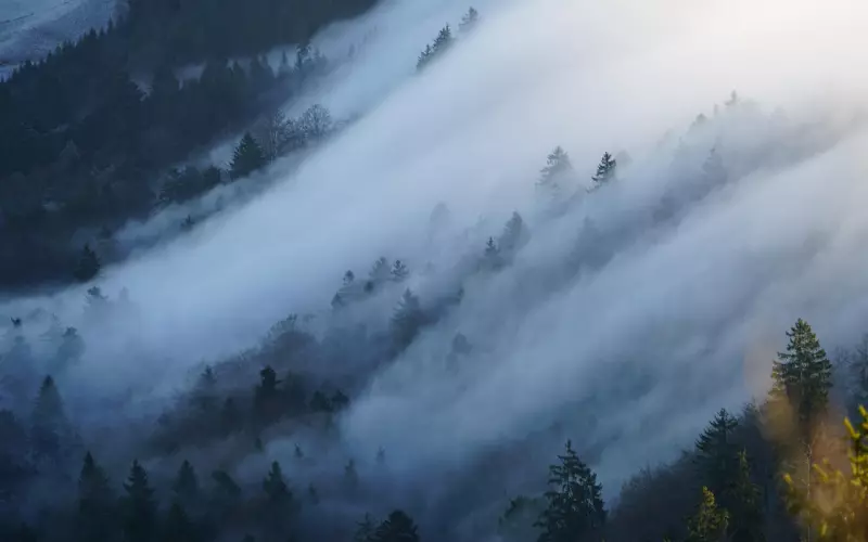 分手后，用好这4招，拉黑了也能复合成功