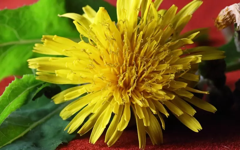 分手后，怎样的心态对挽回最有利！