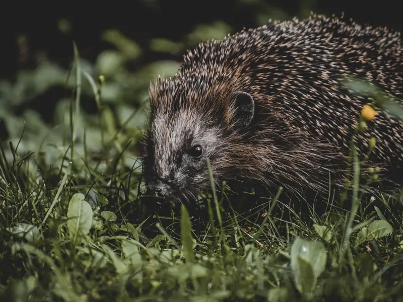 分手之后，要不要来一场刺激的分手炮！
