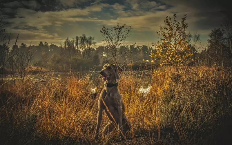 分手后只会偷偷看前任的朋友圈?正确的挽回方式是这样的!