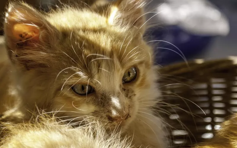 分手后，每天还是难以入睡，还是想着前任，想挽回，那么你需要学会这两点