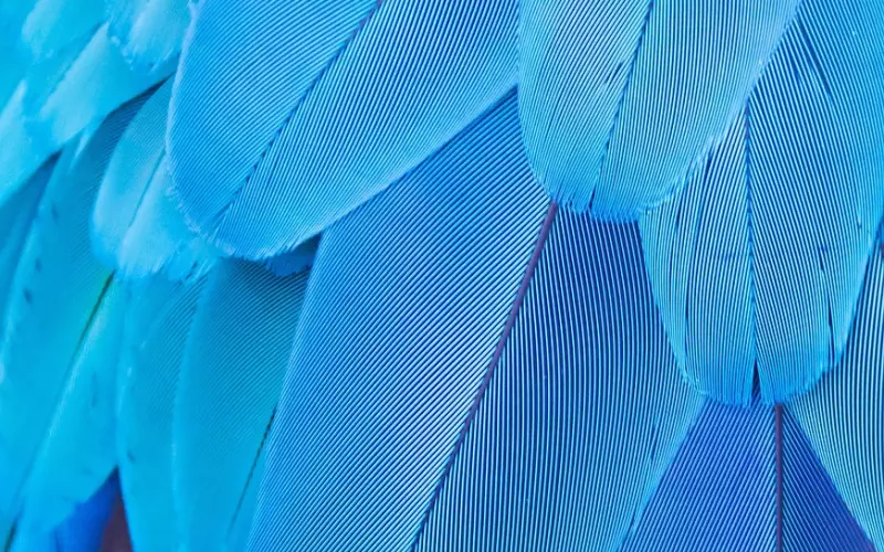 分手后，前任都会有这些动态，只要你针对的挽回，复合近在眼前