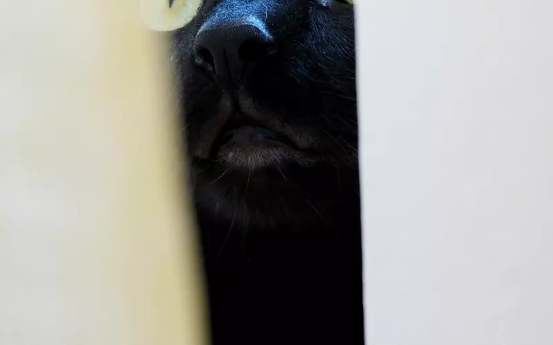 假性分手，如何让男友主动挽回我？