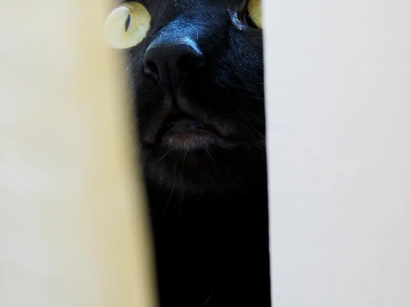 假性分手挽回男友，如何让男友主动挽回我？