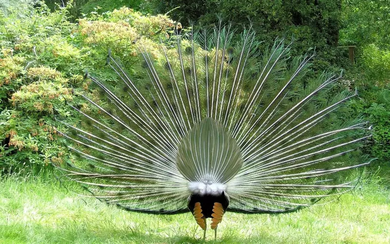 女生相亲后，如何让心仪的男性主动邀约你