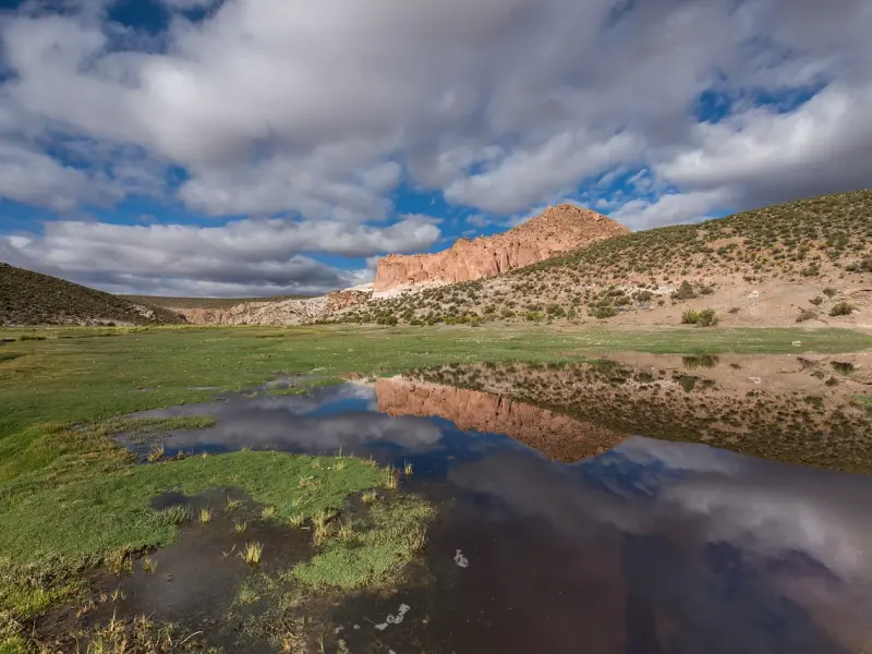 男人喜欢上你之后，会不自觉有这些“信号”，你收到了吗？