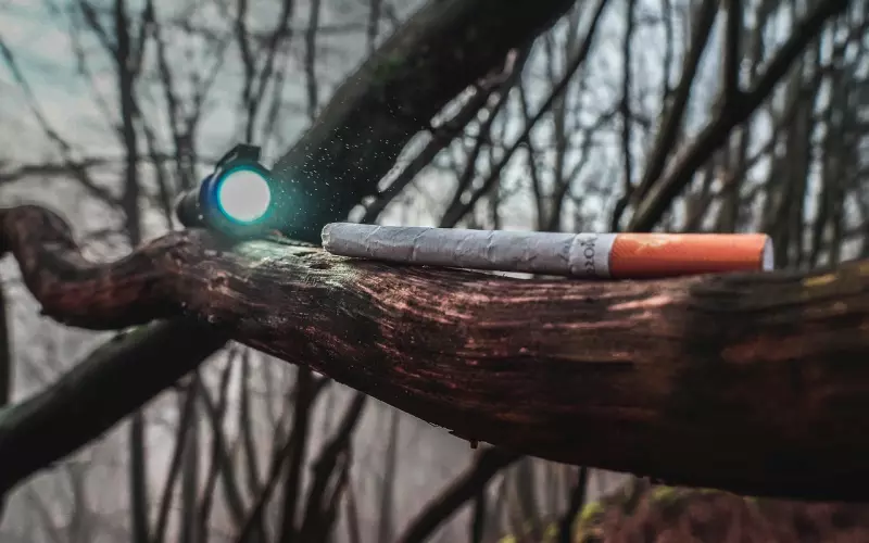 男人真心爱上一个女人后，不知不觉会养成这些习惯