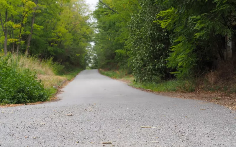 路终究是要自己走