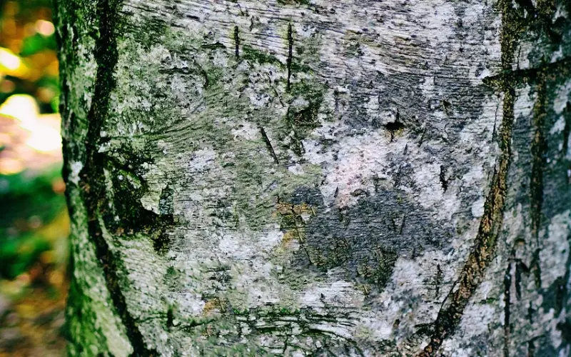 冲动分手后，挽回的不是感情，而是他受伤的心