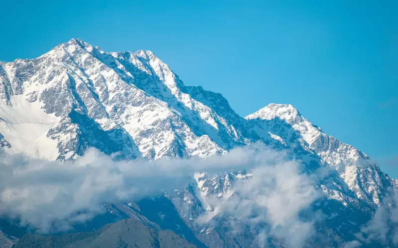 微信拉黑后，这样处理复联成功率达78%