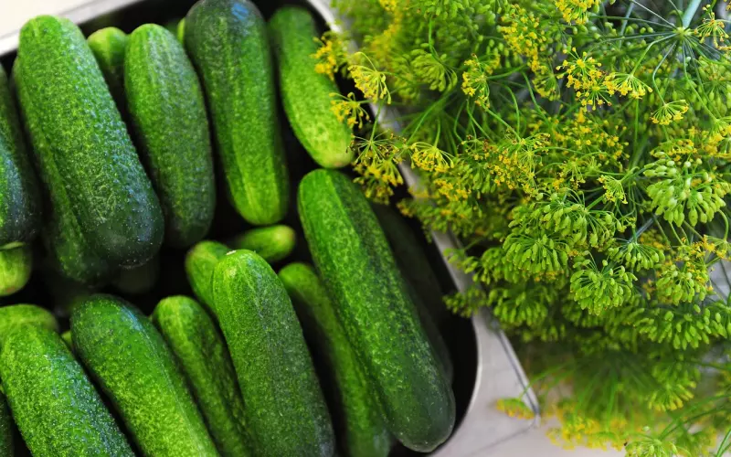 被删除微信后，如何通过一句话加回对方？