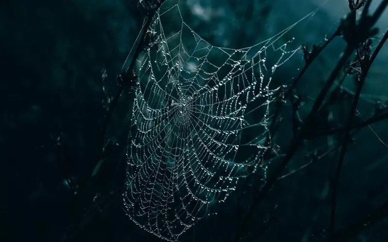 分手后，4个步骤让他主动挽回你！