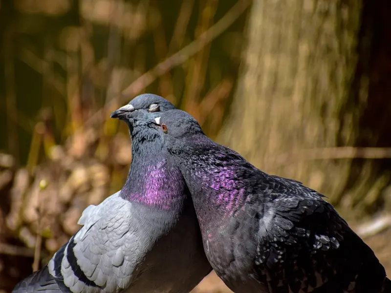 分手复合后TA对你爱搭不理，该如何修复感情（沟通干货篇）