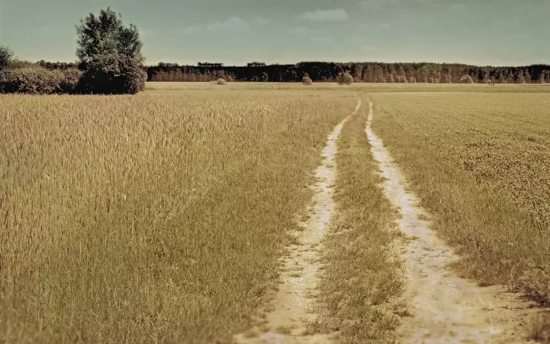 分手后，你是否还无所适从、犹豫不决呢？