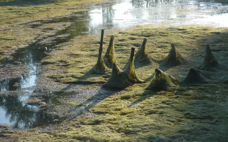 分手之后挽回之前，需要正确地断联!