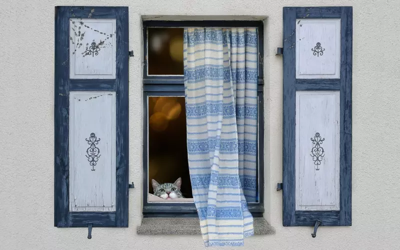 分手后，还想挽回他？赶紧来看看这四种方式，让你轻松挽回真爱！