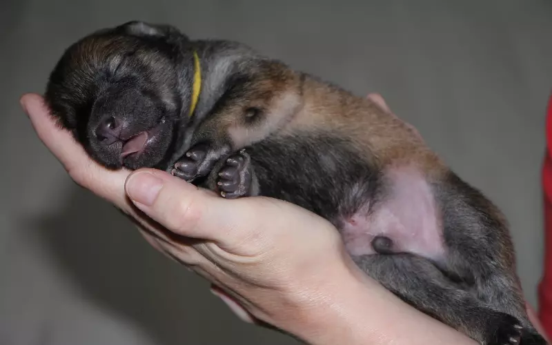 分手后，找回这样东西，复合就在眼前