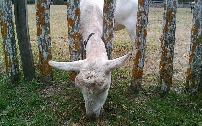 分手后希望重新挽回对方感情，但对方却坚决拒绝，该如何处理呢？ ...