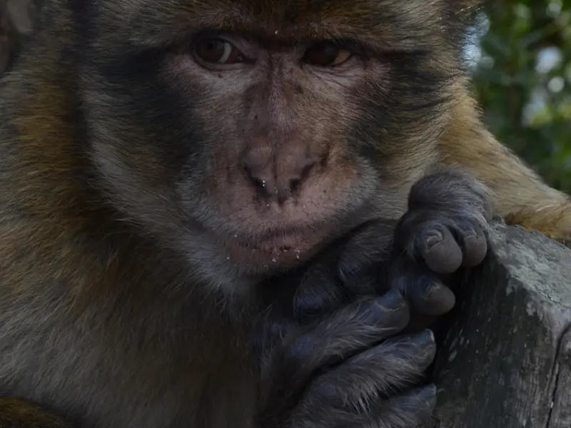 分手后，如果你想无情的前男友找你复合，那么这3种能力缺一不可