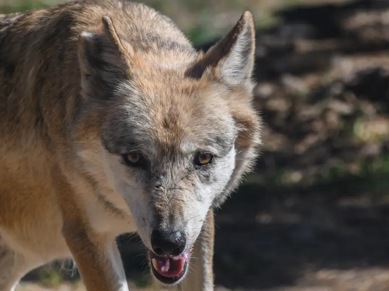 分手后对方经常说：你要这样想我也没办法。