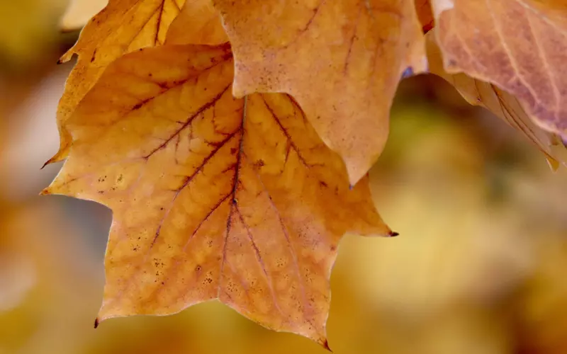 分手后，利用男人的“逆反心理”，让前任在你的掌控之中