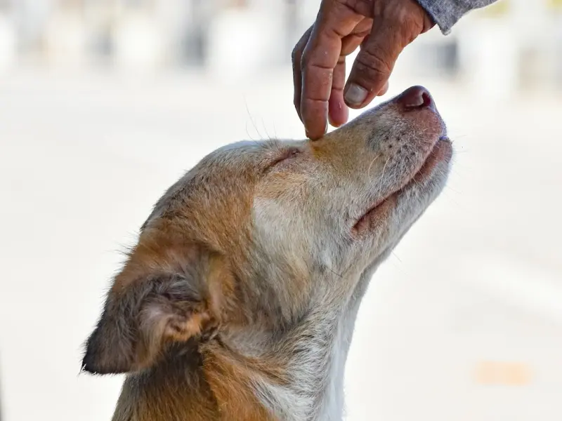 和女朋友分手之后，她铁了心不和我复合，我该怎么做才能挽回她