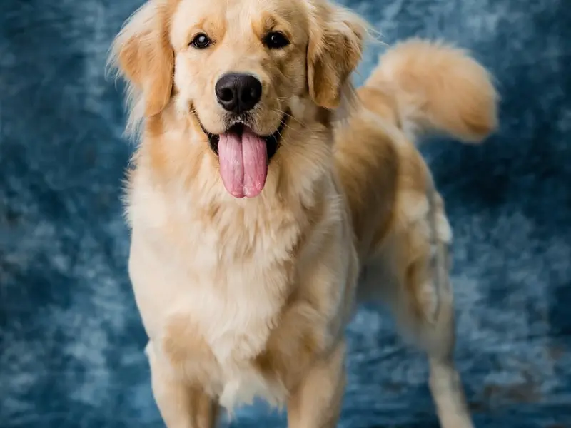 和男朋友分手后我发现我还是爱他的，还能重新在一起吗