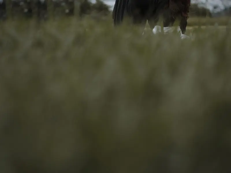 和女朋友分手之后，找她复合，她的表现很冷漠，是不是没有机会了