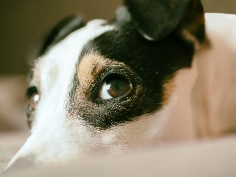 和男朋友分手了就这样去挽回他