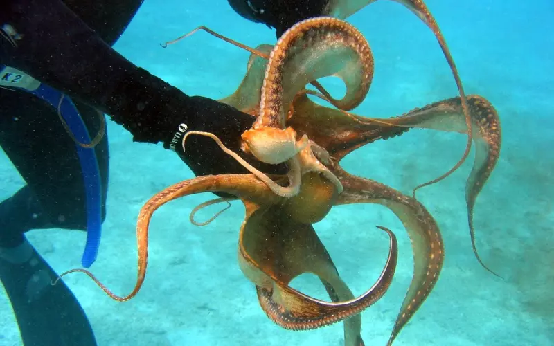 分手后要把握时机才能成功挽回爱情！