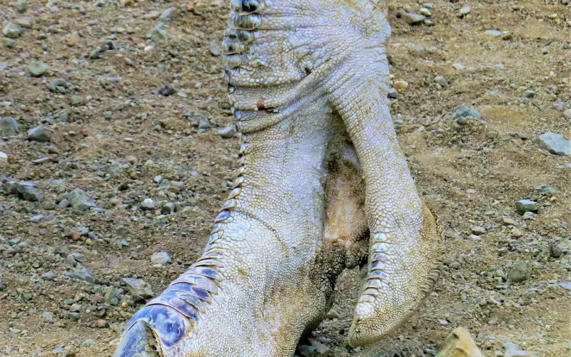 分手后，这样跟对方聊天不会被拉黑