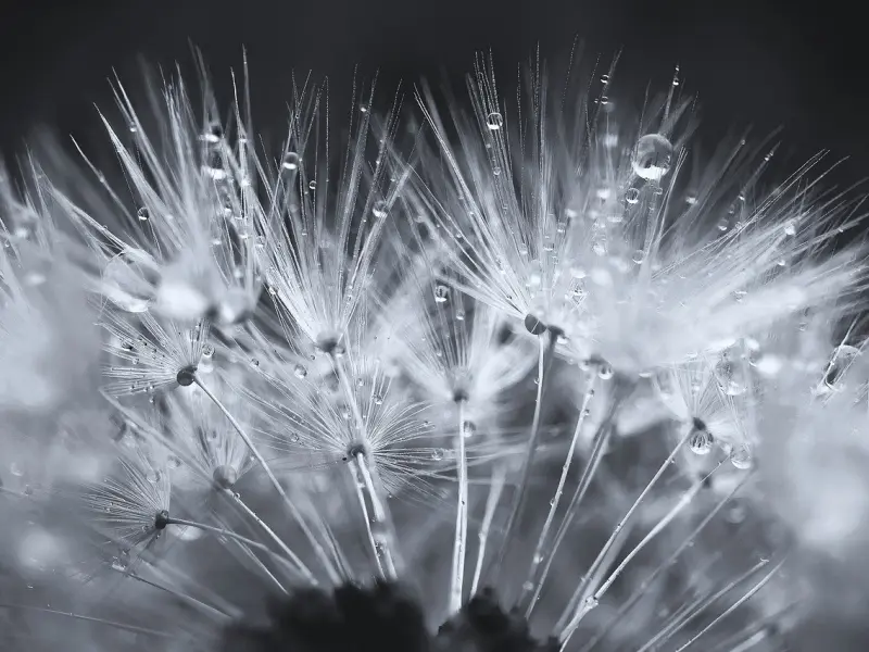 分手后，前任更希望你这样与他聊天...