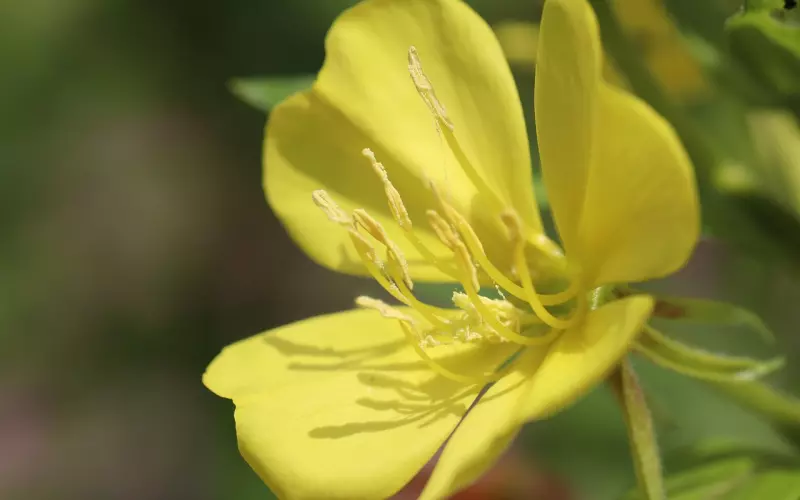 网恋不到1个月，小伙驱车200公里见女生，我看到的却不是爱情