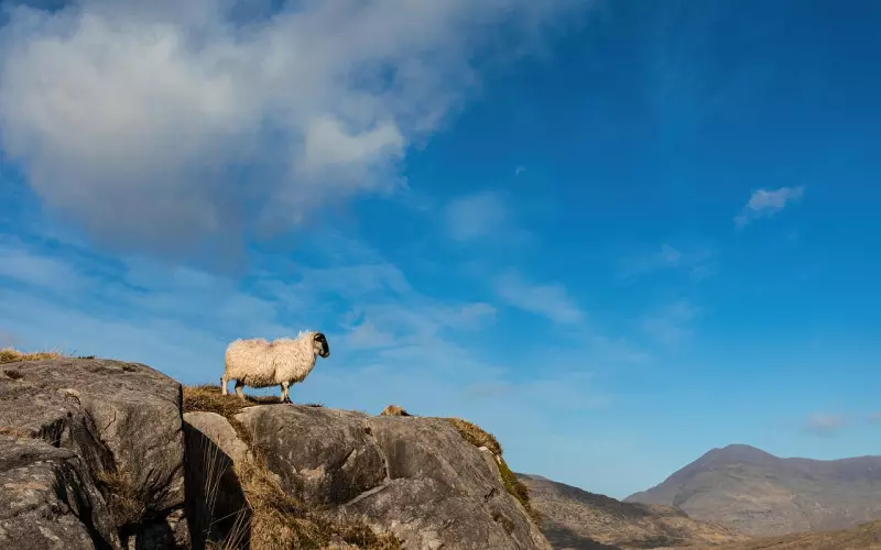 删好友清内存，该如何面对男友的这种分手行为？