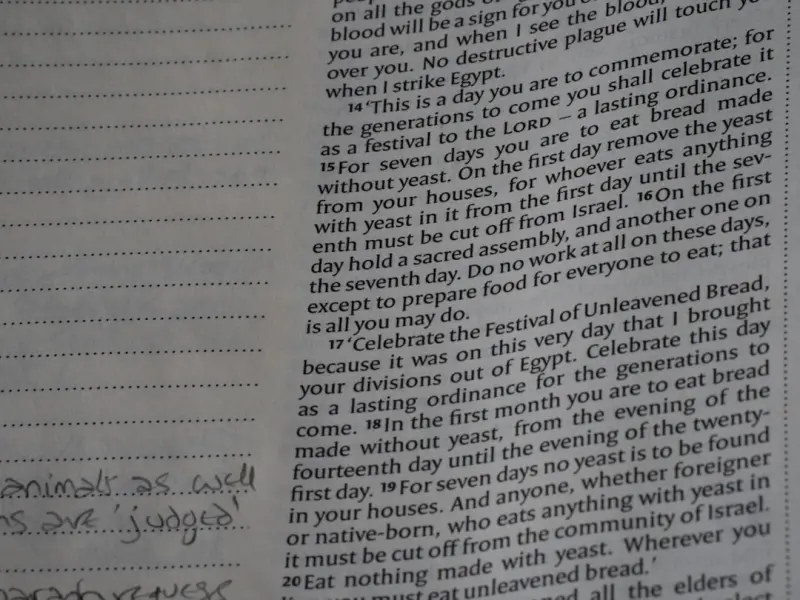 做了这件事后，前任后悔和我分手了！