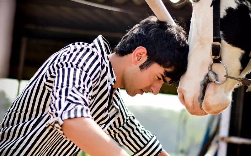 直男网恋四个月，才发现对象居然是同居男室友，内心一万匹马在跑