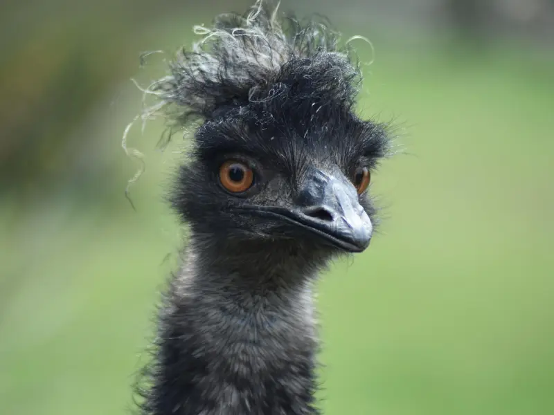 历经沧桑人来人往 会明白 万般皆是命 半点不由人