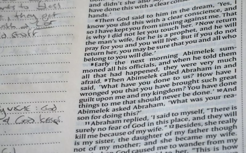 网恋半年不想奔现(网恋半年见到父亲)