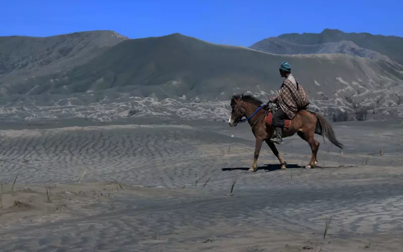 学会这三招，钢铁直男也能挽回前任女友