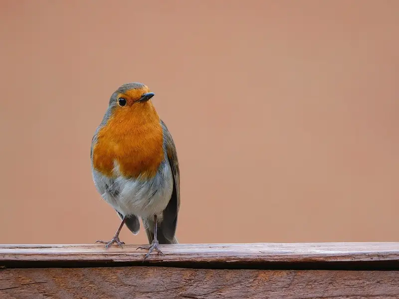 熄灯后，学会这几个让男人舒服上瘾的小技巧，他会更宠爱你