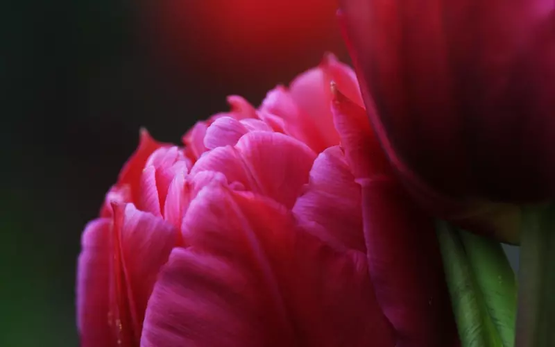 听了这首歌，我把手机里的其他歌曲都删了